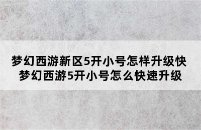 梦幻西游新区5开小号怎样升级快 梦幻西游5开小号怎么快速升级